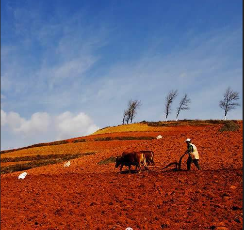 旭錦塑膠模具 旭錦塑膠模具